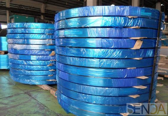 Stainless steel strip